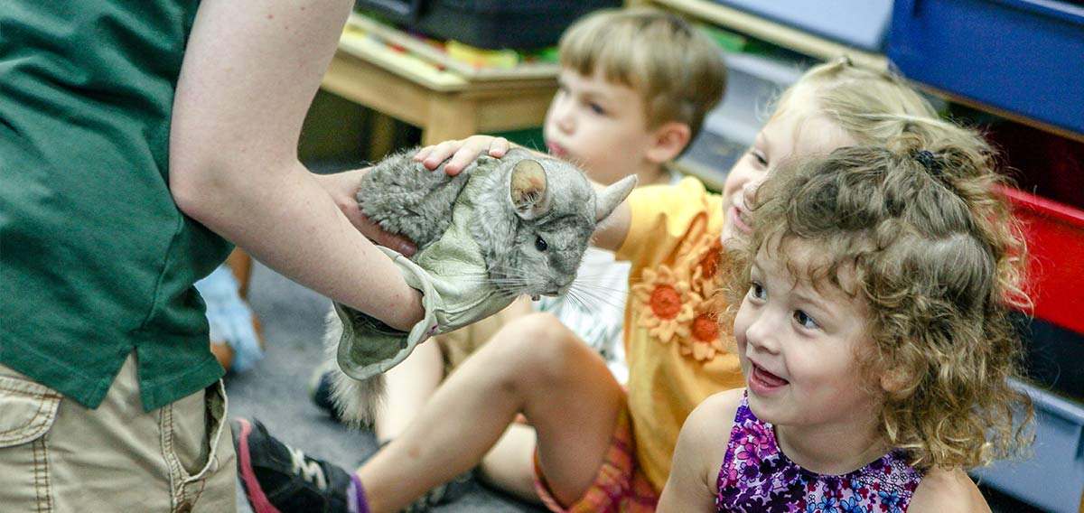 Zoo New England | Franklin Park Zoo and Stone Zoo