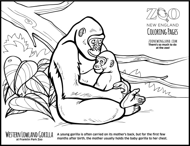tarzan pounding his chest coloring pages - photo #17
