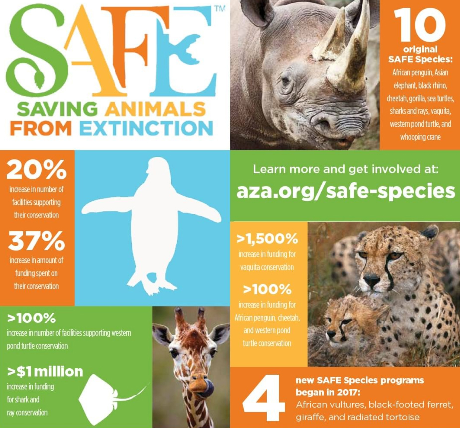 AZA Safe Zoo New England