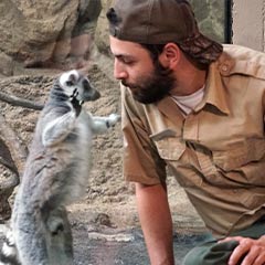 zookeeper and lemur