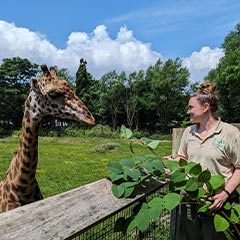 zookeeper and giraffe