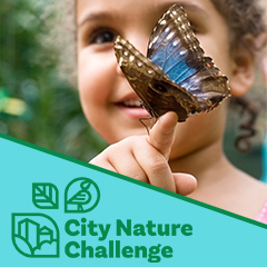 Boston Area City Nature Challenge
