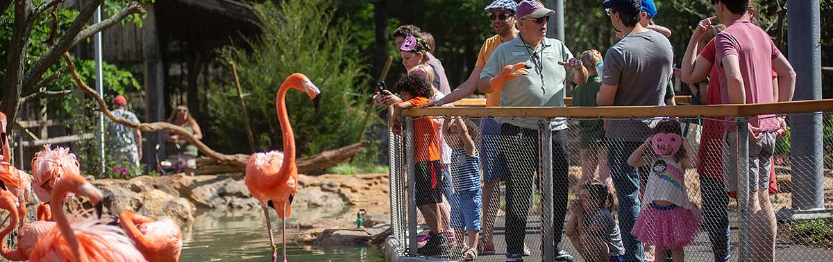 Plan a Visit to Stone Zoo in Stoneham, MA | Zoo New England