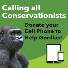 donate your phone to help gorillas!