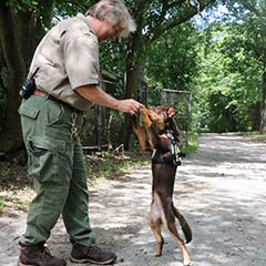 zookeeper and turtle detection dog