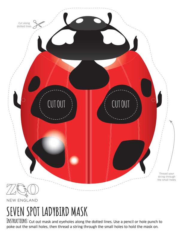 ladybug mask