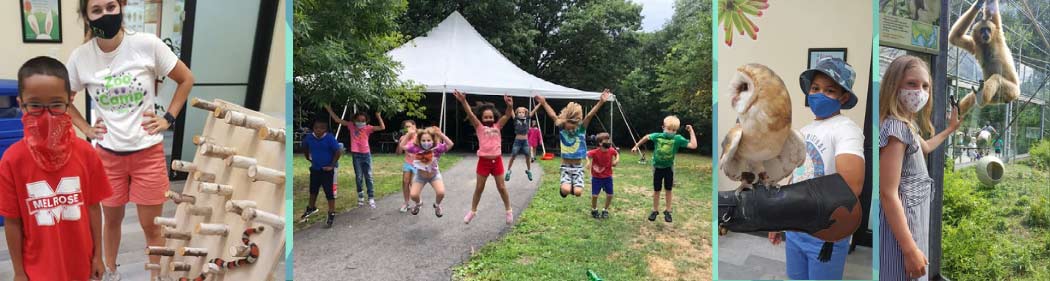 🏛️ CATS Academy Boston Summer Camp (Boston, Massachusetts, USA) - apply  for a camp, prices, reviews