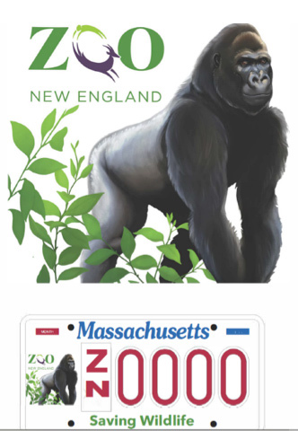 license plate image