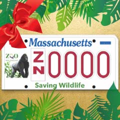 license plate gift