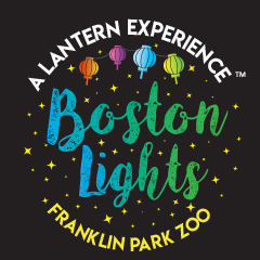 Boston Lights logo