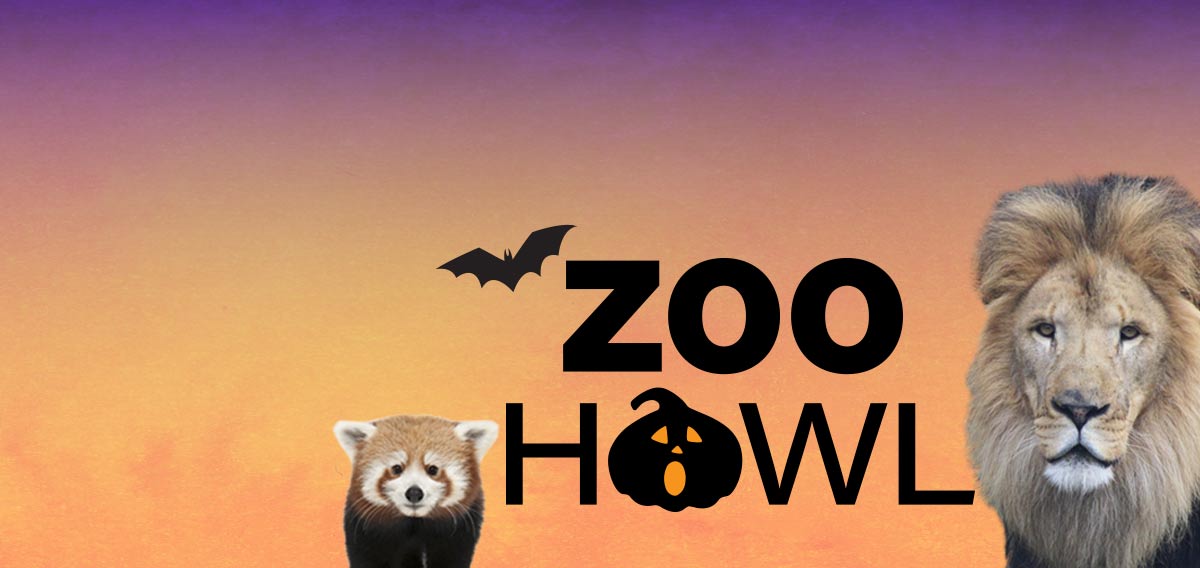 zoo howl