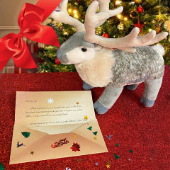 letter from santa and reindeer zoodopt
