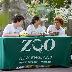 zooteens at table