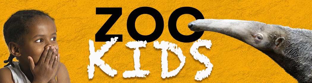 zoo kids