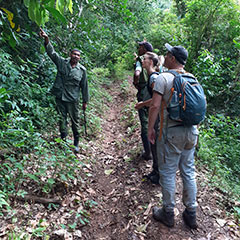 Cuban solenodon fieldwork