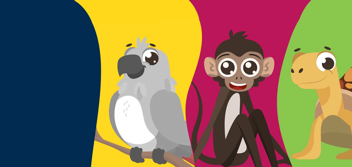 Think twice before purchasing an exotic pet