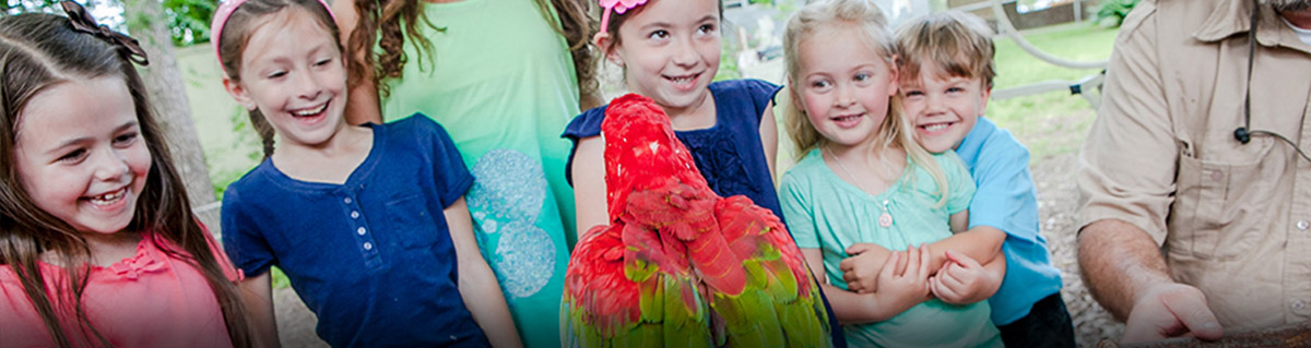macaw with children