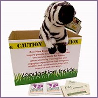 Zebra Zoodopt