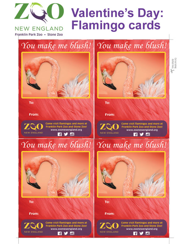 flamingo valentine's cards