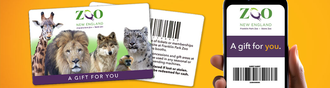 zoo gift cards
