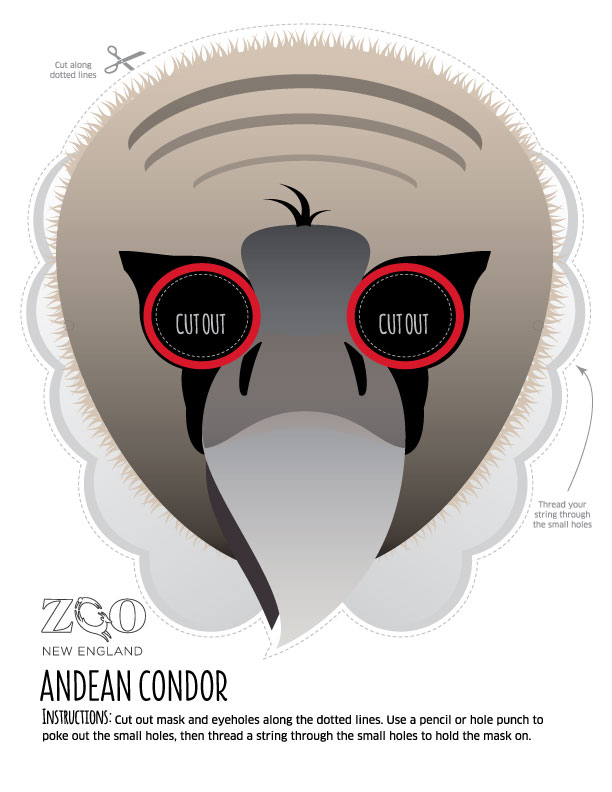 condor mask