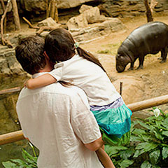 family looking at hippo