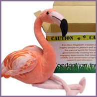 Flamingo Zoodopt