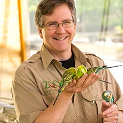 zookeeper with budgies