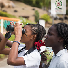 kids looking at birds through binoculars
