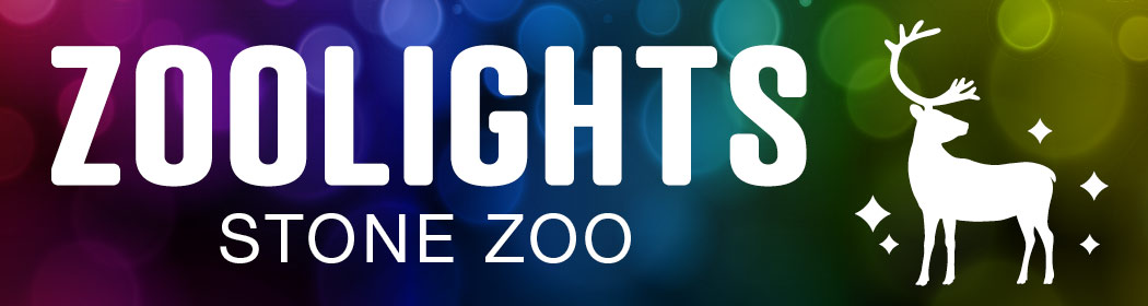 zoolights logo with colorful lights in the background