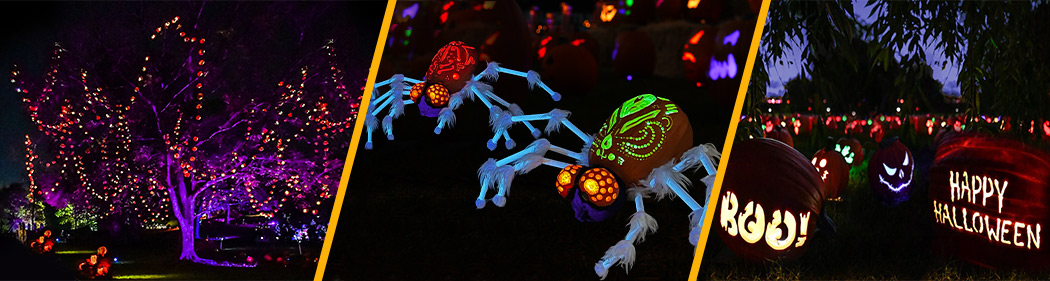 montage of images from Jack O'Lantern Nights