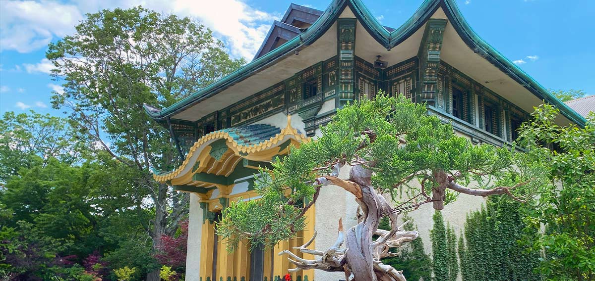 bonsai tree in front of Franklin Park Zoo's historic Bird's World building