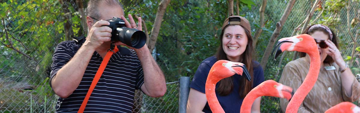 guests enjoying the Flamingo Experience