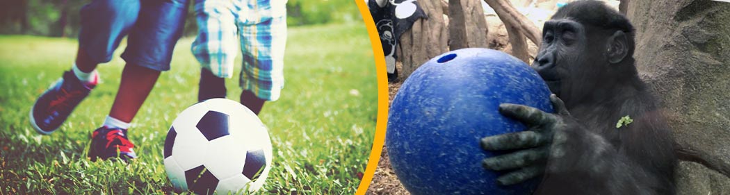 split image of kids kicking a soccer ball and gorilla with a boomer ball