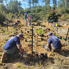 Field Conservation team planting seedlings