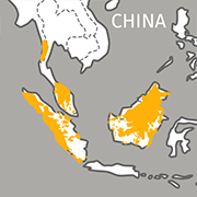 range map of the crested wood partridge