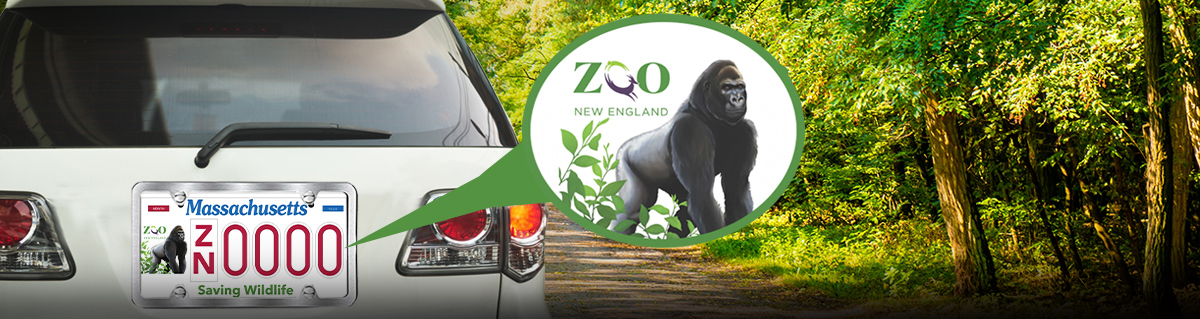 Zoo New England's "Saving Wildlife" license plate