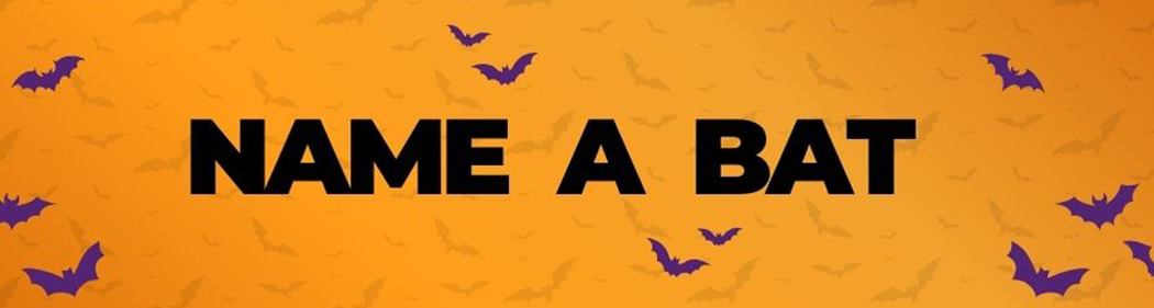 name a bat