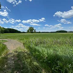 farmland on a sunny day