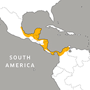 range map of the keel-billed toucan