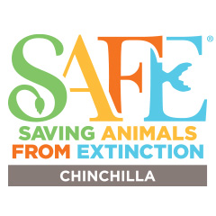 SAFE Chinchilla