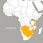range map of Hartmann's Mountain Zebra