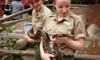 care team with ball python