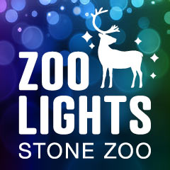 Zoolights Box (2)