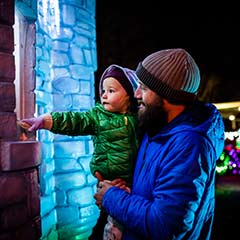 family at zoolights