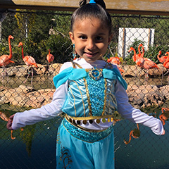 child with flamingos