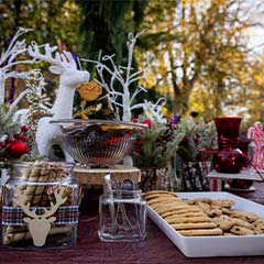 Holiday snacks at Hot Chocolate with the Reindeer event