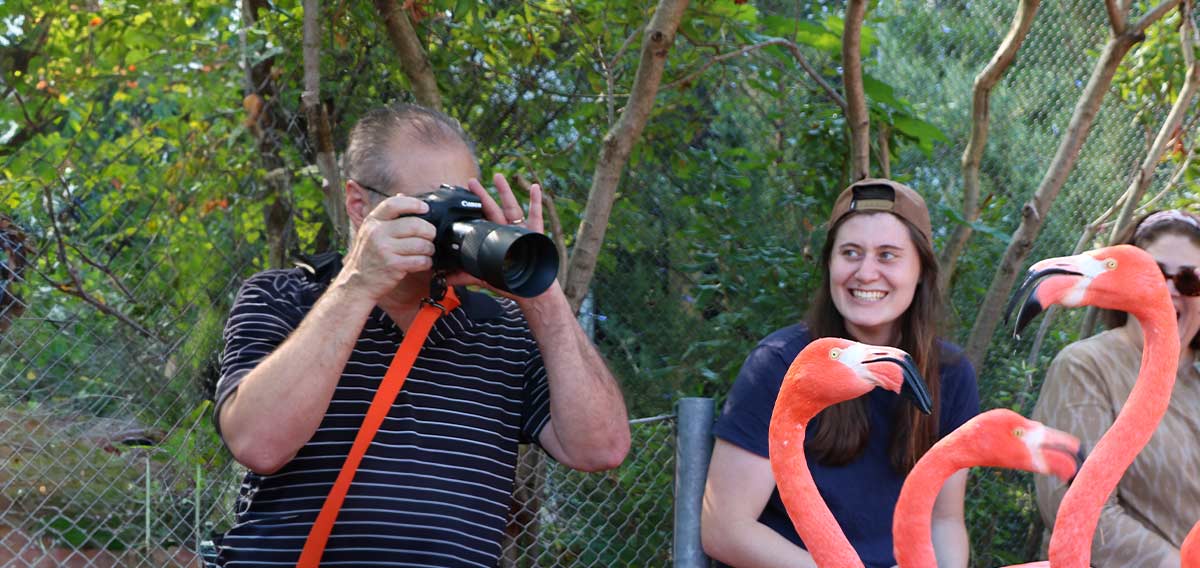 guests enjoying the Flamingo Experience