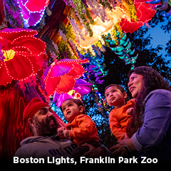 guests enjoying Boston Lights