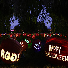 field of pumpkins with halloween messaging at Jack-O'-Lantern Nights